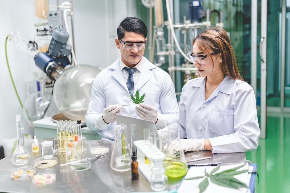 Les défis de la propriété intellectuelle pour les entreprises de CBD