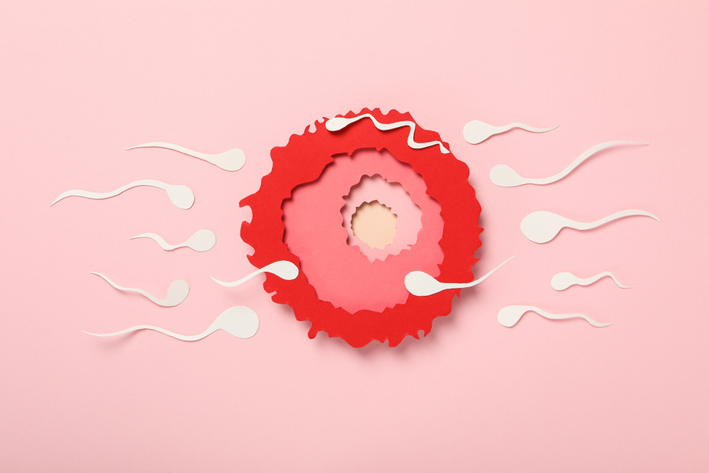 Comprendre et anticiper l'ovulation avec un cycle irrégulier : un enjeu majeur pour la fertilité