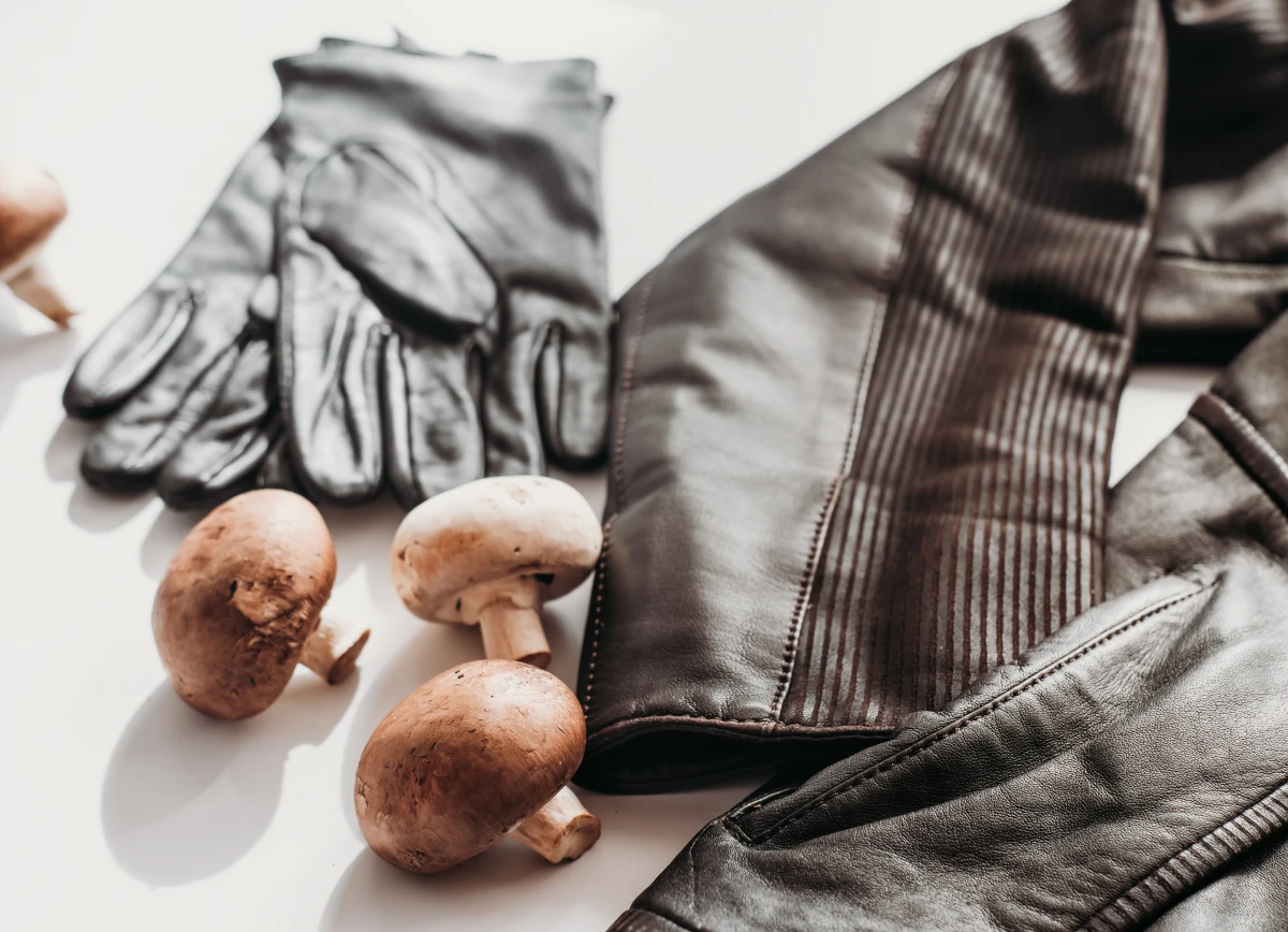 Innovations en matière de textiles durables : l'avenir de la mode éco-responsable